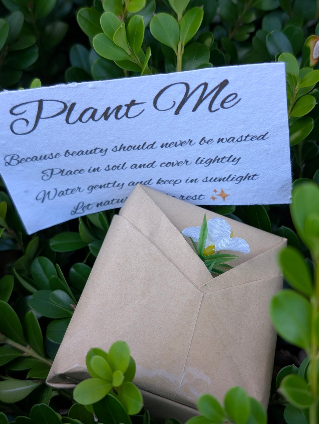 Love Always Pure Devotion Pink Clay Soap - paired beautifully with seeded paper that you can plant and watch your Wild Flowers grow 🪴